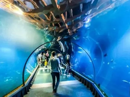 Urocza Kawalerka W Centrum Wroclawia