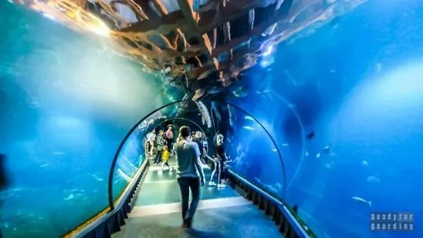 Urocza Kawalerka W Centrum Wroclawia